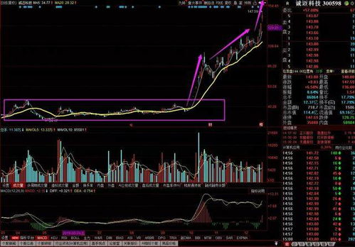 誠邁科技 深度綁定華為生態，軟硬件協同發力鑄就高成長
